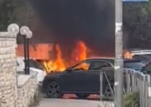 צבי טסלר - tzvi tessler tweet media