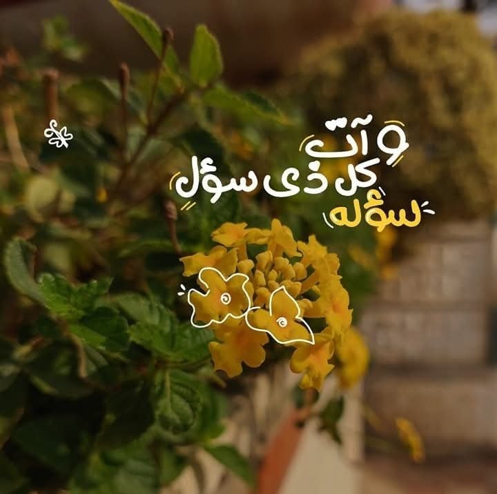 {وَآتَاكُم مِّن كُلِّ مَا سَأَلْتُمُوهُ}
"ولا داعيًا إلّا أجبتهُ، ولا تبتلي أحدًا
في مَطلبهِ✨🌼💙