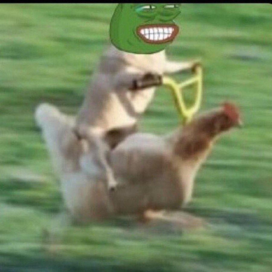 Text me if you fit date broke guy,  make I use love finish you 🎭