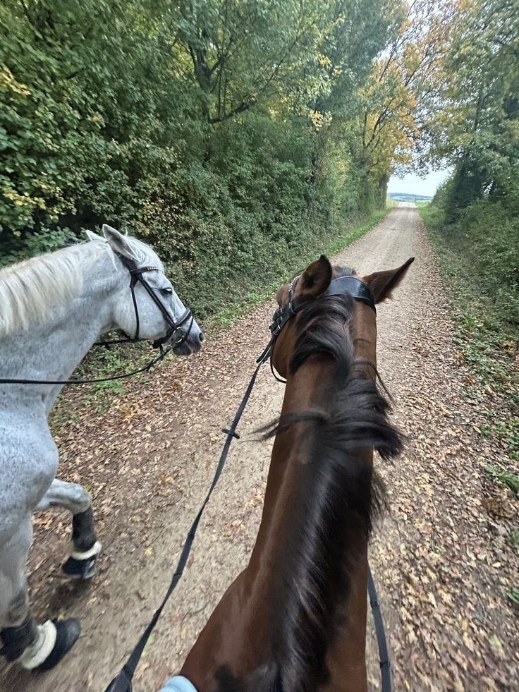 <a href="/thxgrac/">៚ 𝚃𝚑𝚊𝚕𝚒𝚊</a> 💚