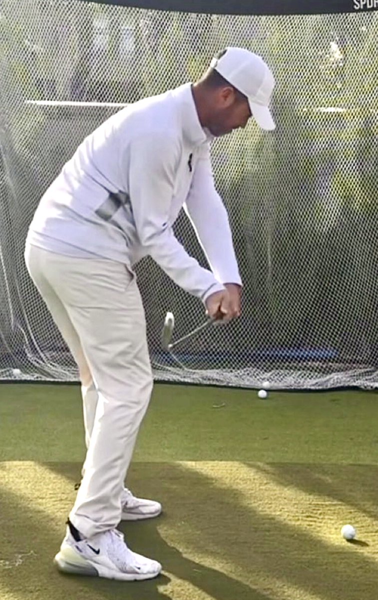 Brian Manzella tweet media