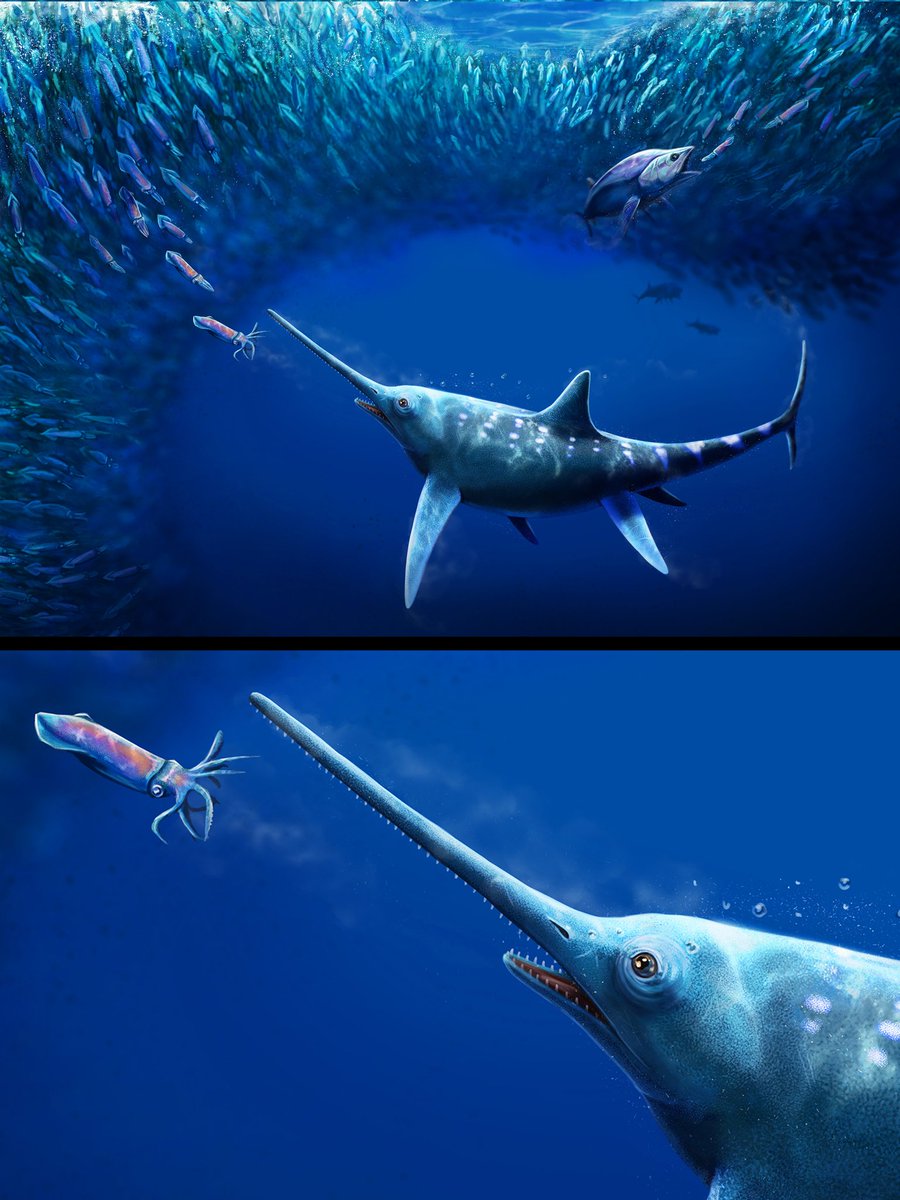 Ekhyl - Wildlife/Paleo Illustration tweet media