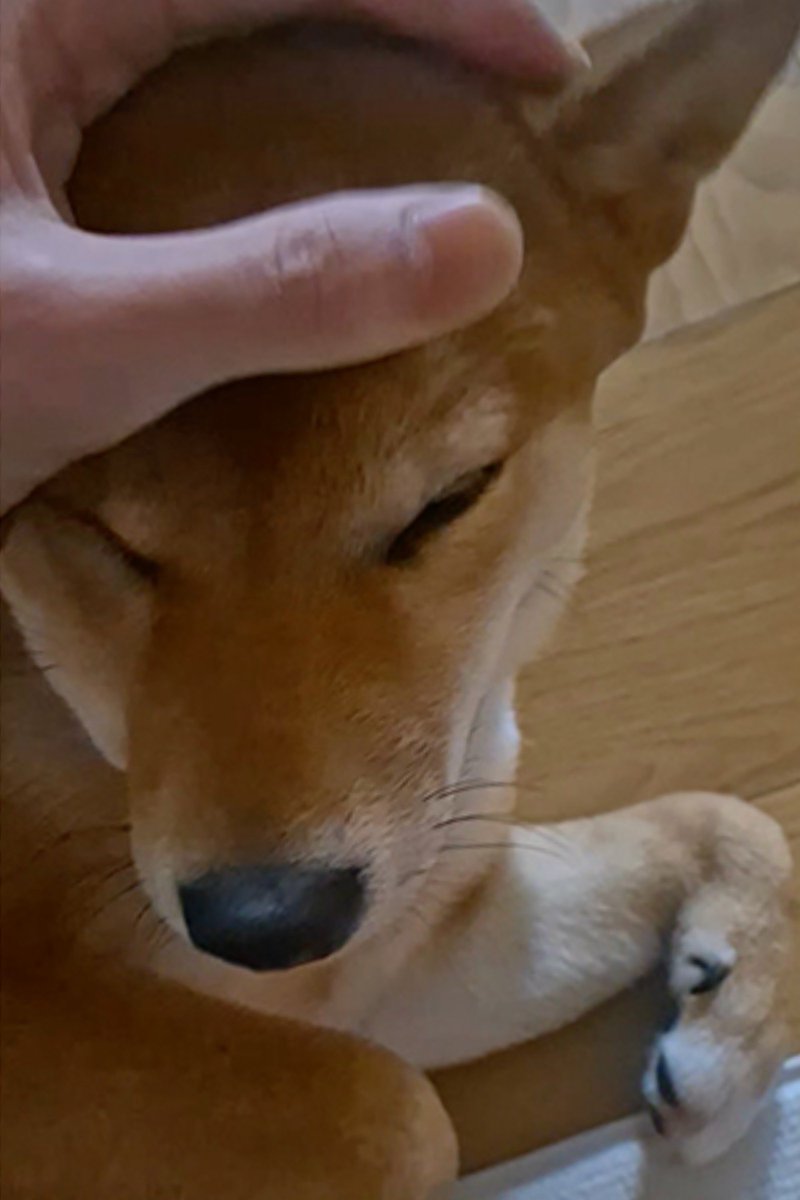 every time i think about what happened in 2024, i always just feel like something is squishing my chest hard, i start to feel all these emotions at once and i feel my eyes start to water. hearing how burnt out he was from soobin himself feels like a deep stab to my heart. like