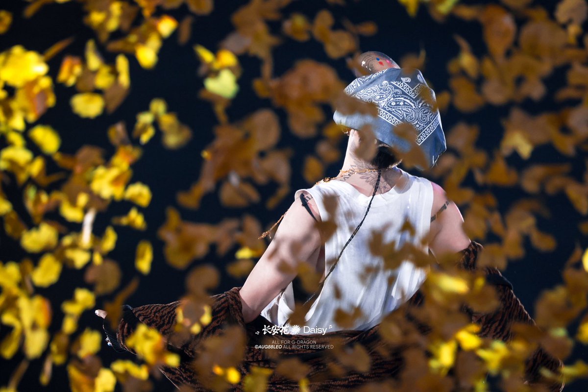 长安花Daisy tweet media