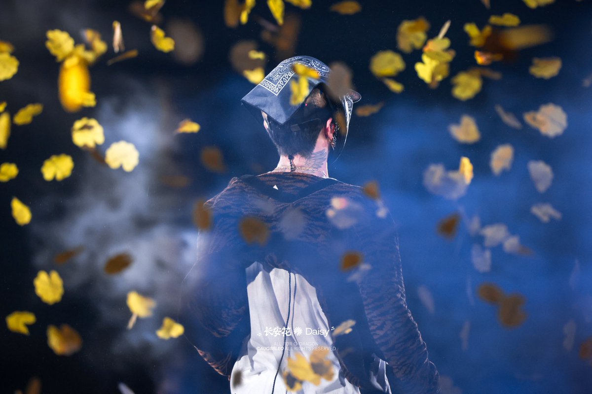 长安花Daisy tweet media