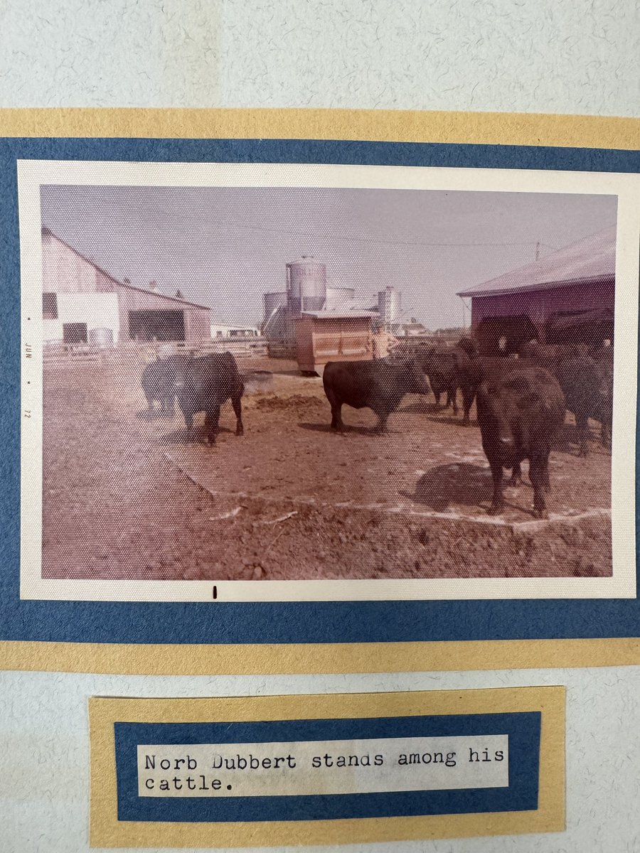 Gavin Spoor tweet media