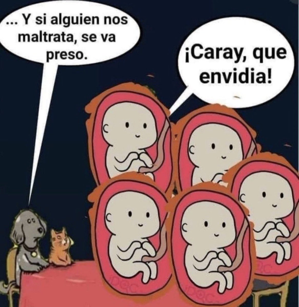 María del Rosario Vargas (@charovargas_) on Twitter photo 