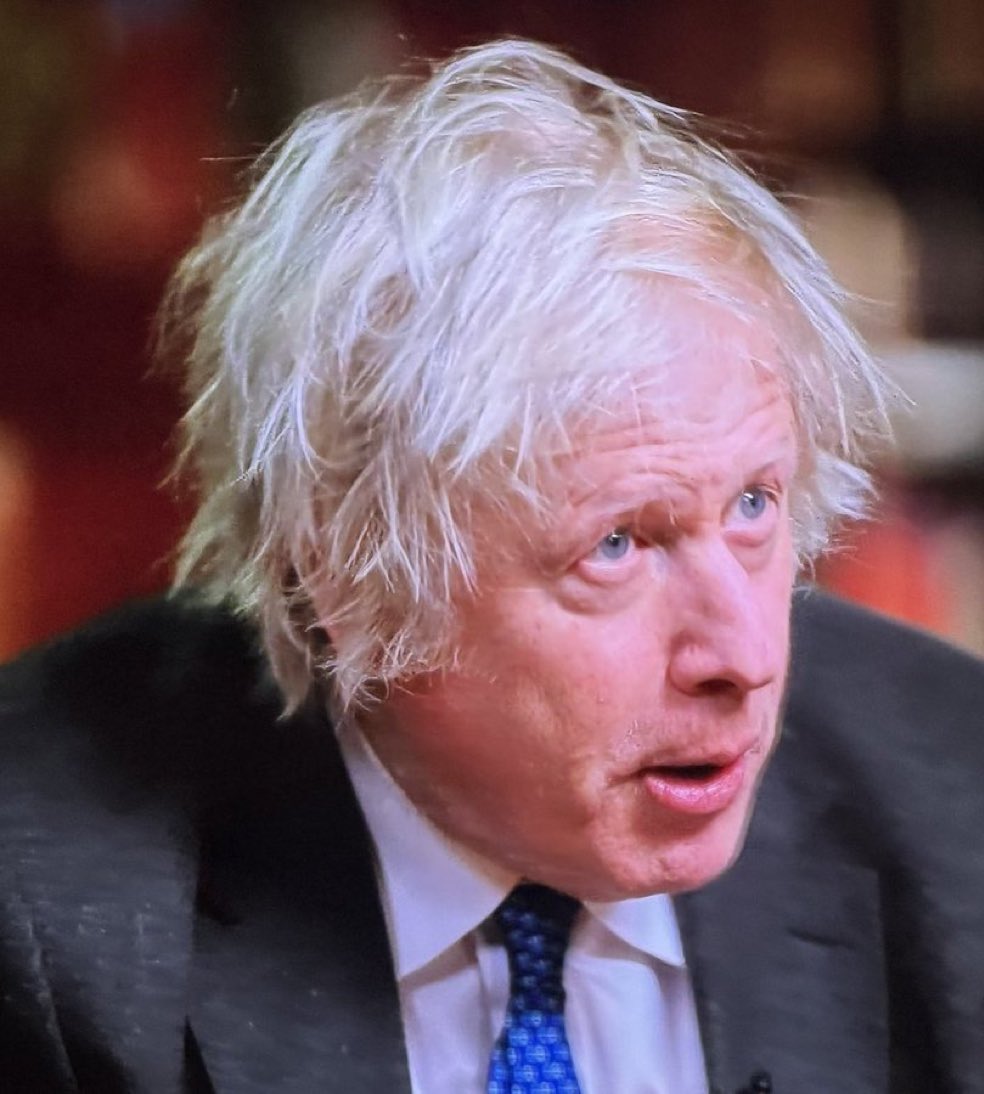 Brendan May tweet media