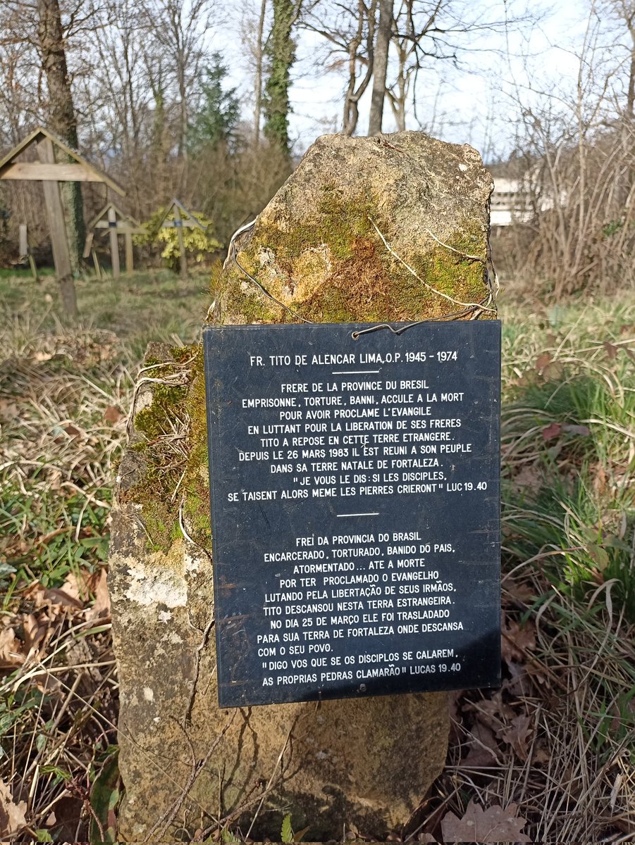 Simplex fac cor meum tweet media