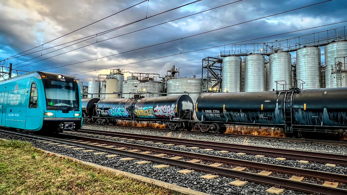 Lily White 🦋 tweet media