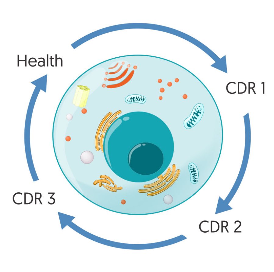 Let’s talk the cell danger response!

 open.substack.com/pub/perpetualh…