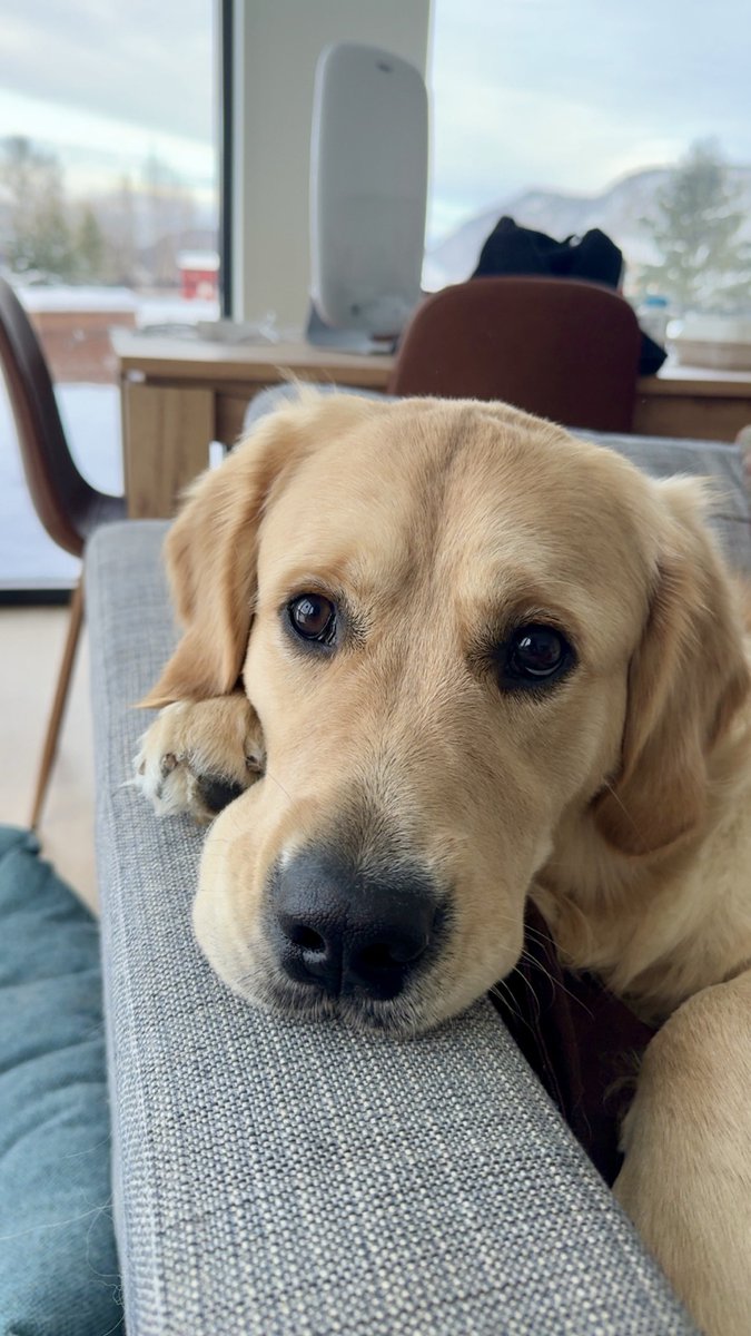 Espen Teigen tweet media