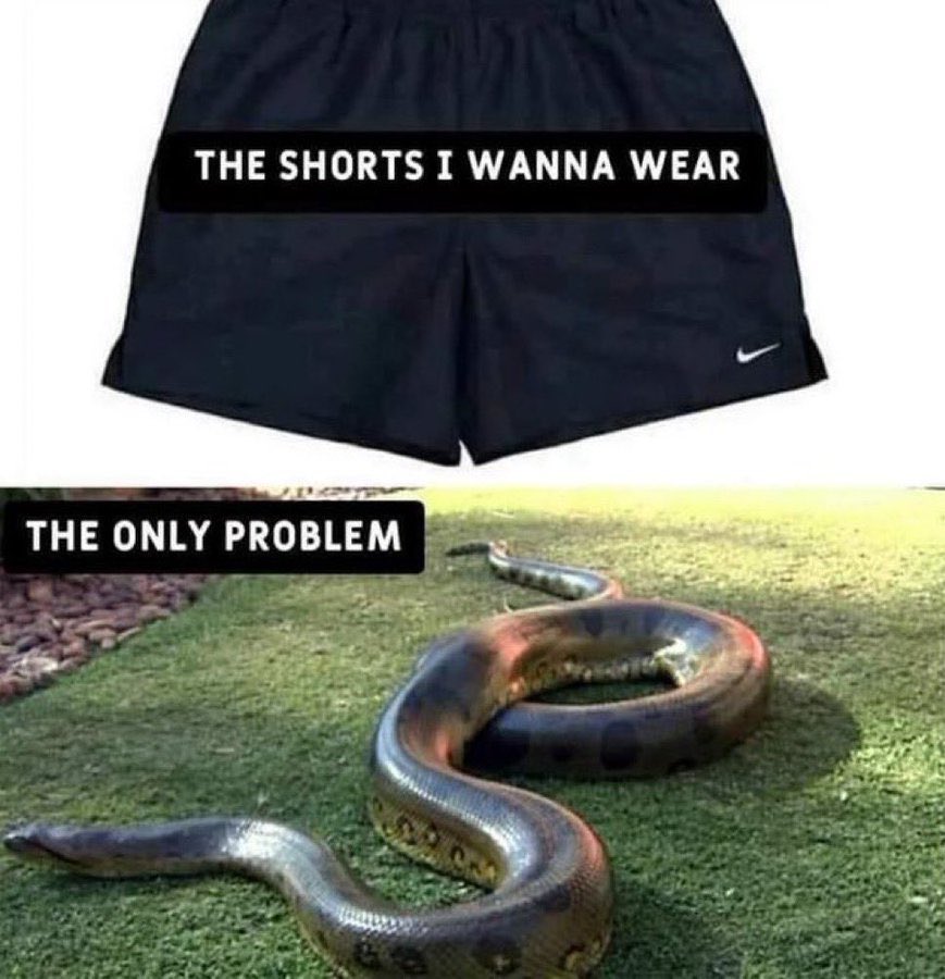 Freaky feeling (@freakyfeelingx) on Twitter photo 