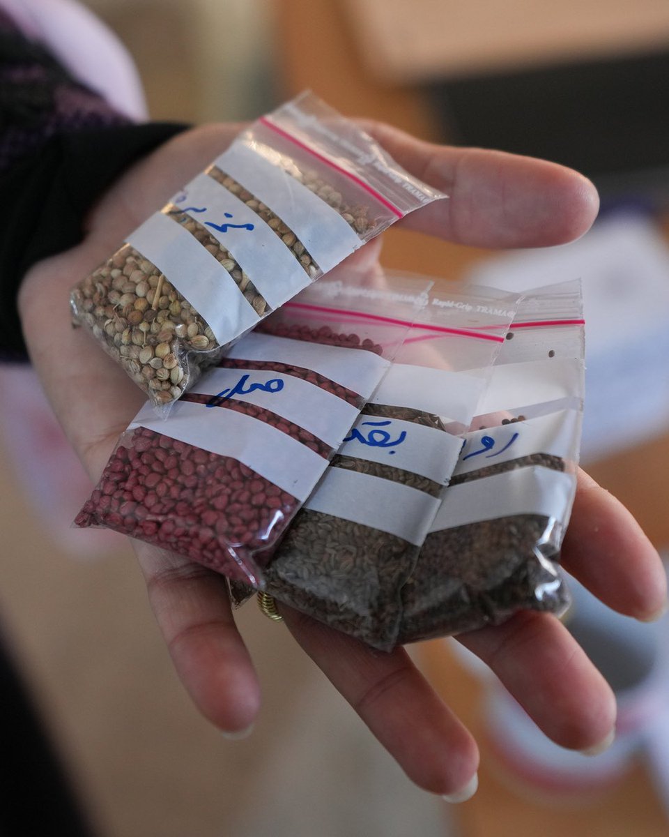 Generation of Citizens - جيل المواطنيّة tweet media