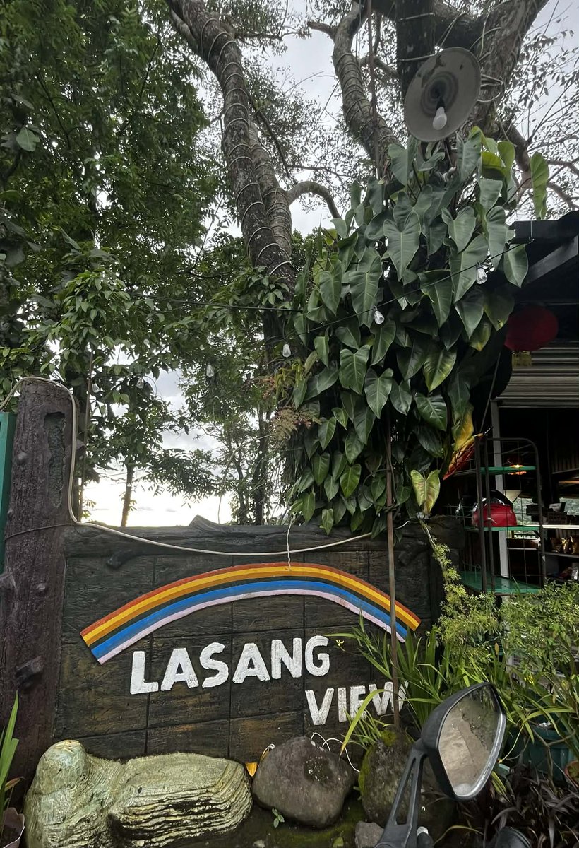 @maximbcd tweet media