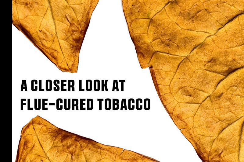 Smoking_Pipes's tweet photo. A Closer Look at Flue-Cured Tobacco.
Read More: https://t.co/DF81Gv8Weo
#smokingpipes #dailyreader #pipesmoker #tobaccoleaf #pipetobacco #pipesmoking https://t.co/ycnAVj20N5