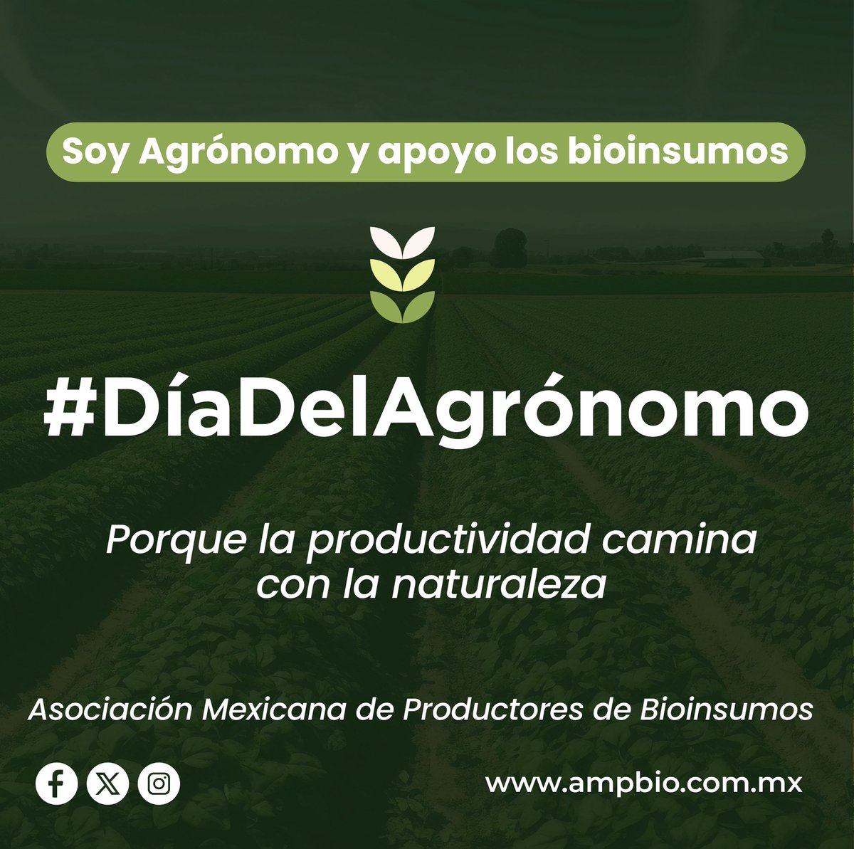 AmpbioAC's tweet photo. Felicidades a los Agrónomos y Agrónomas en este día, porque la productividad camina con la naturaleza, en AMPBIO estamos orgullosos de su gran labor🌱

#DiaDelAgronomo #DiadeLaAgronoma #agronomos #AgriculturaSostenible #agricultura #alimentossanos #alimentossaludables https://t.co/MlNH3tocEm