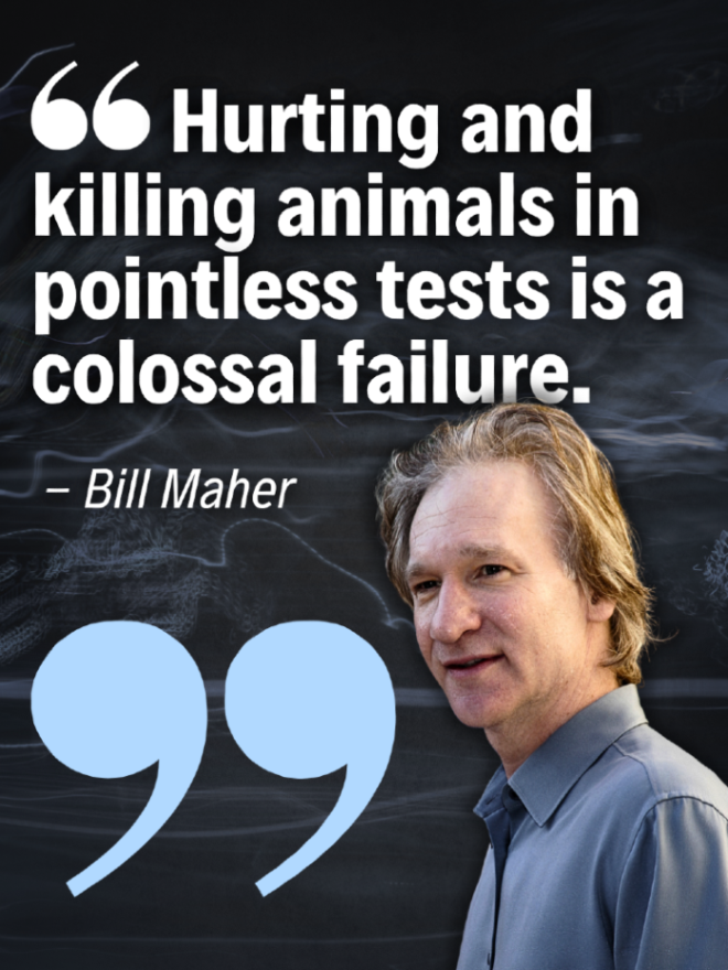 teamveganfta's tweet image. As Bill Maher says, involving animals in tests is horrific. 🐁💔

There is no situation where using animals is okay. 🚫 Do you agree? 🙏

#animaltesting #crueltyfree #stopanimaltesting #veganquotes #billmaher