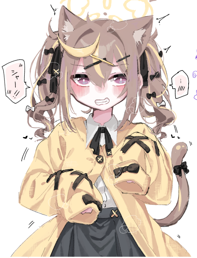 シャー!!する猫レナちゃん