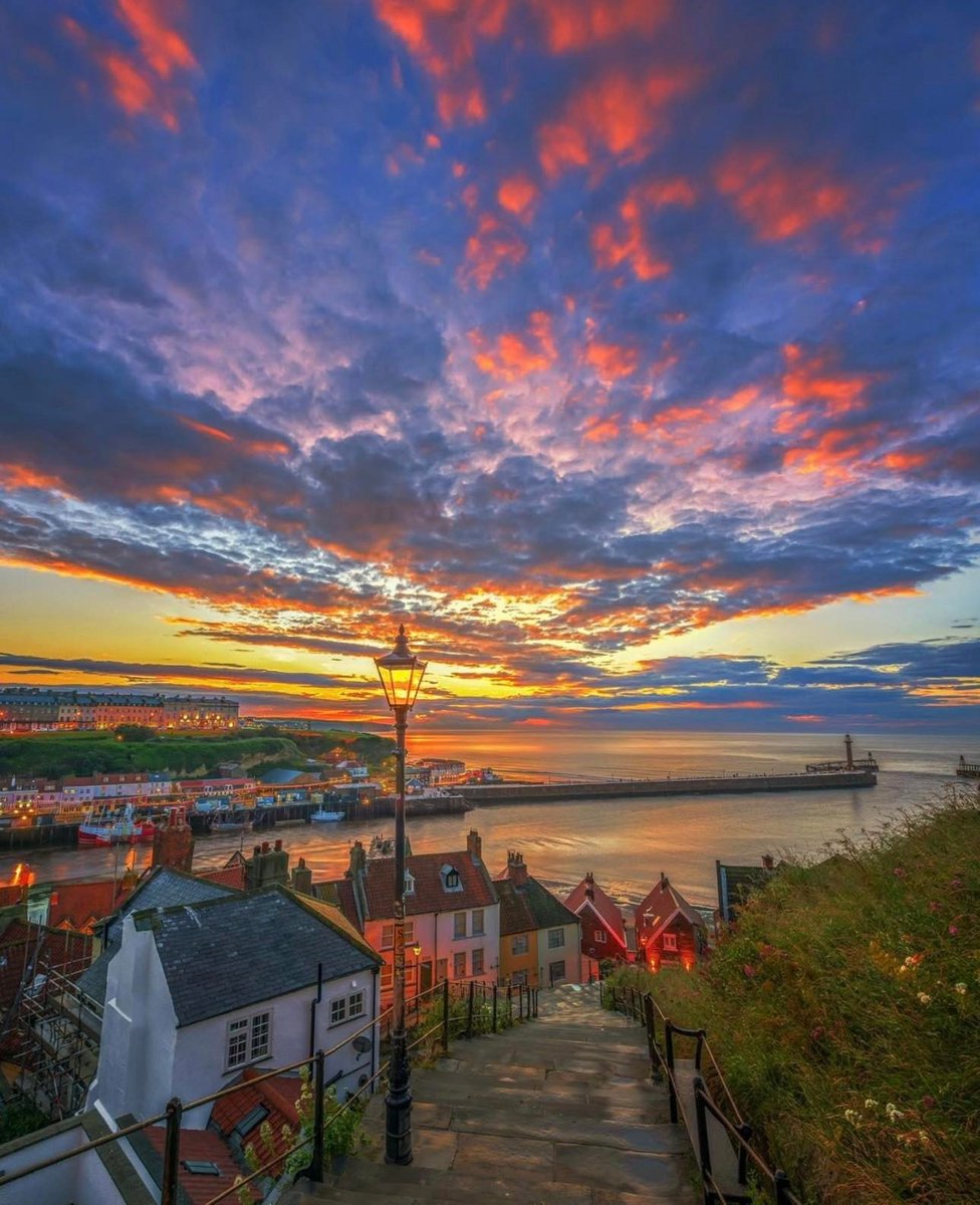 North Yorkshire tweet media