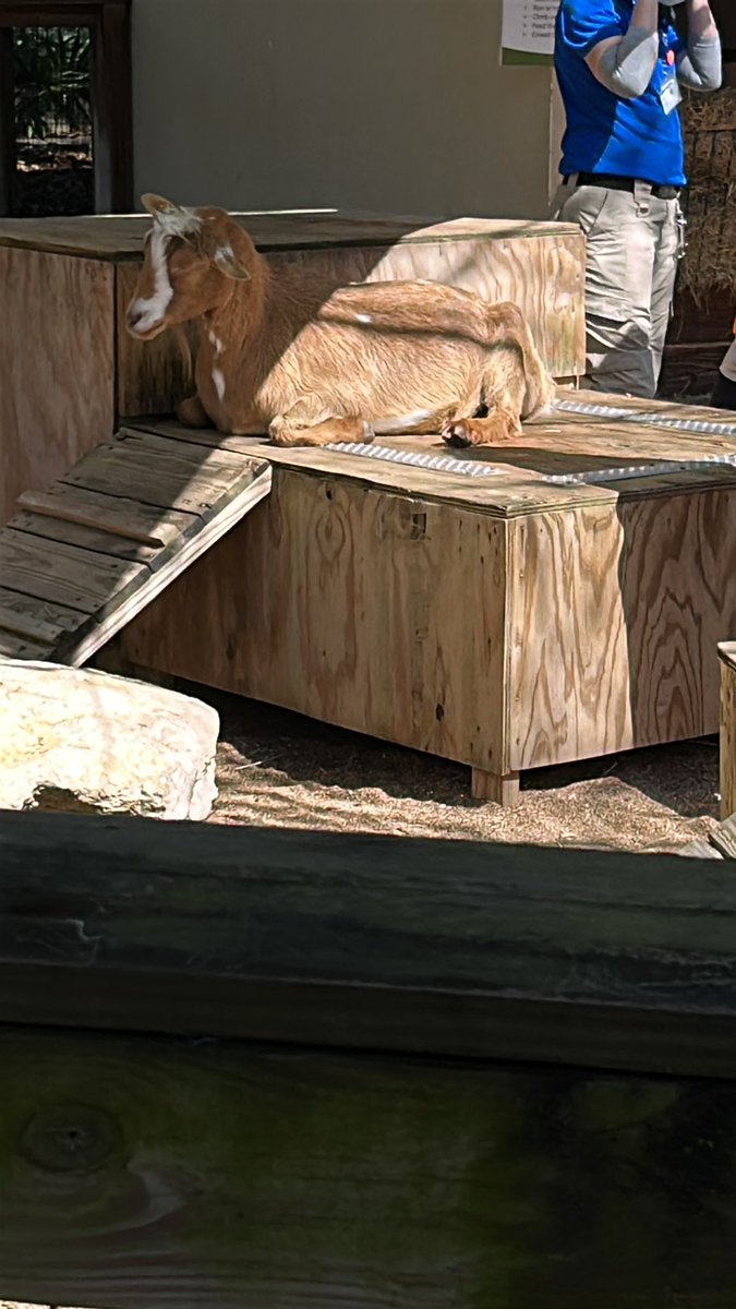 Found Jack Hughes at the Jacksonville zoo