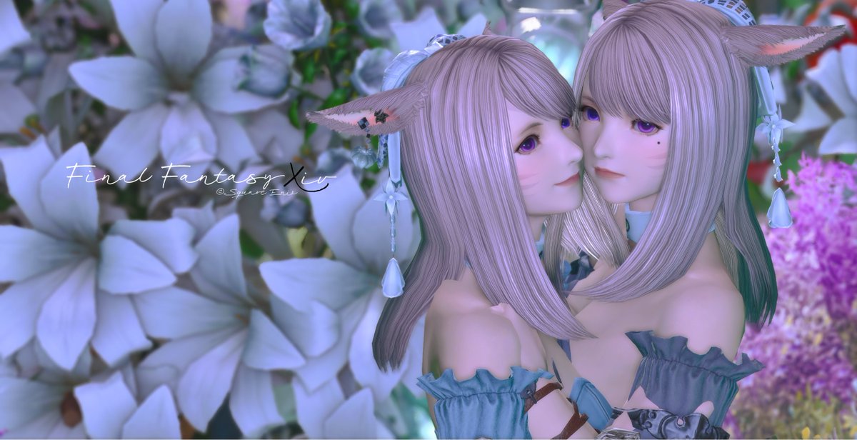 Post by ひちゃん🐈‍⬛☽ on X: 🌙🐈