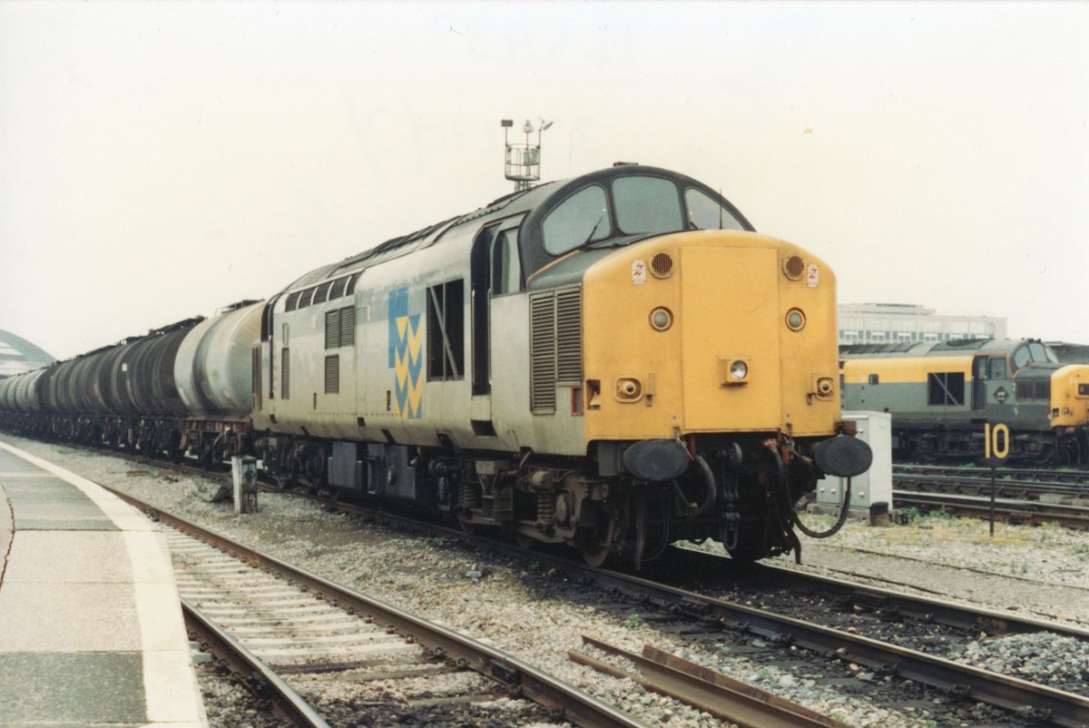 Nick the Pirate tweet media