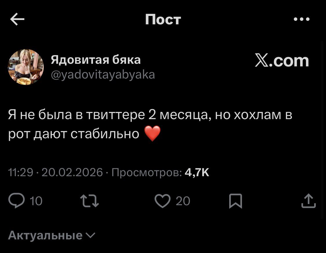 Вы поняли, да? tweet media