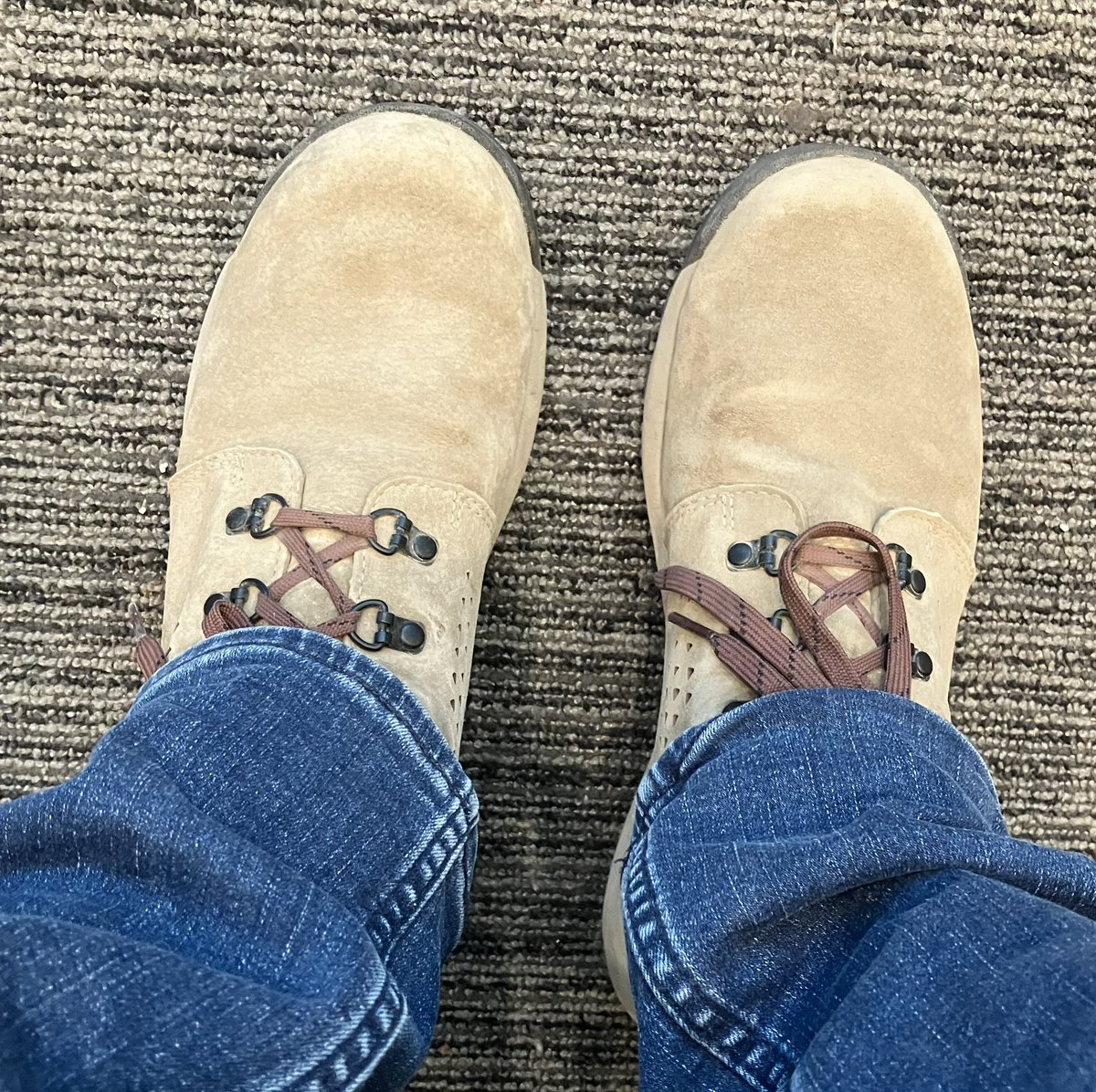 Dr Augusta McMahon tweet media