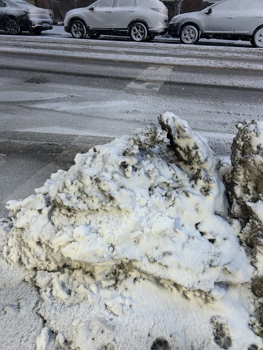 Andrew Giambrone tweet media