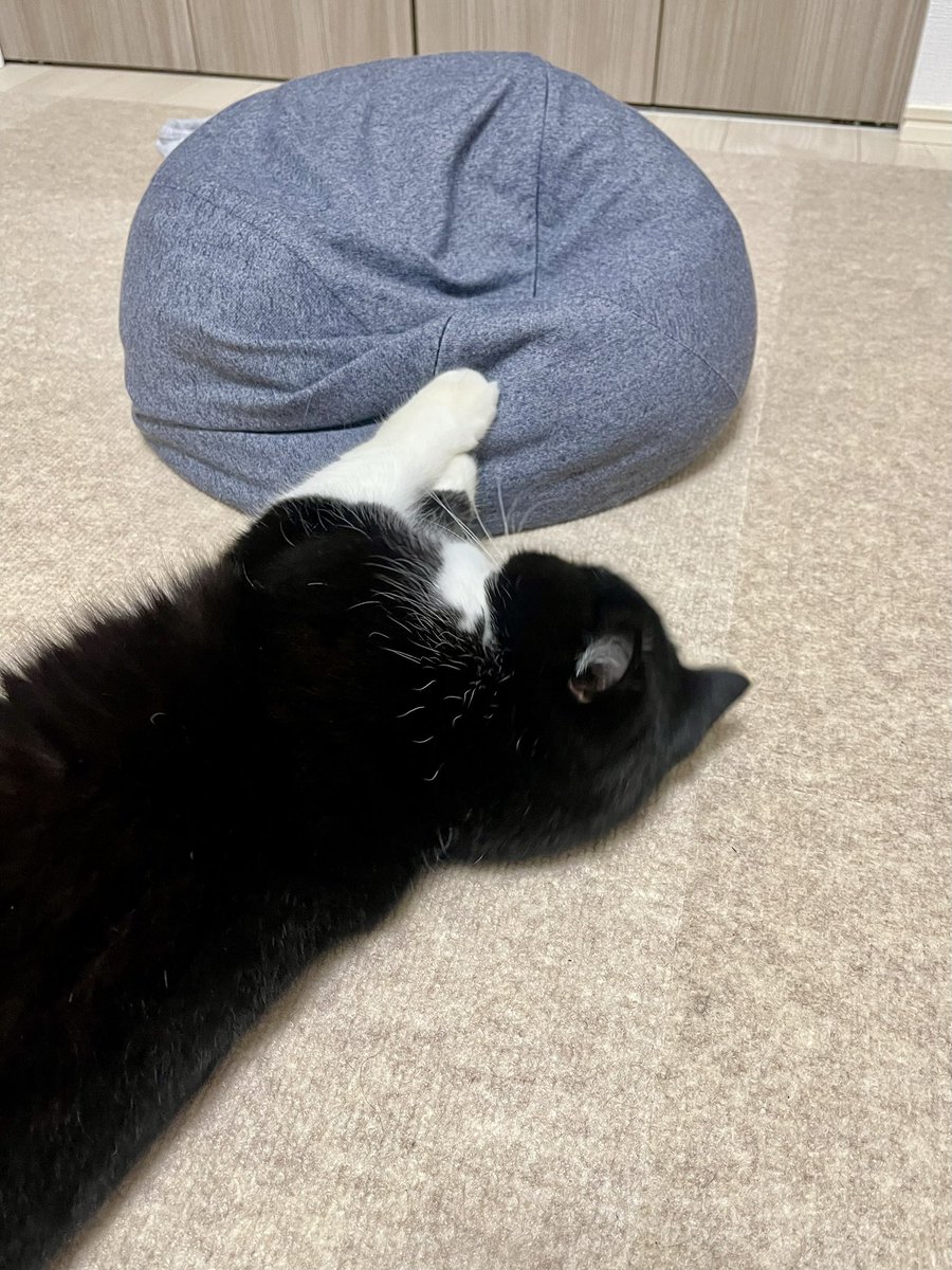 たろう (@taro20216) / Posts / X