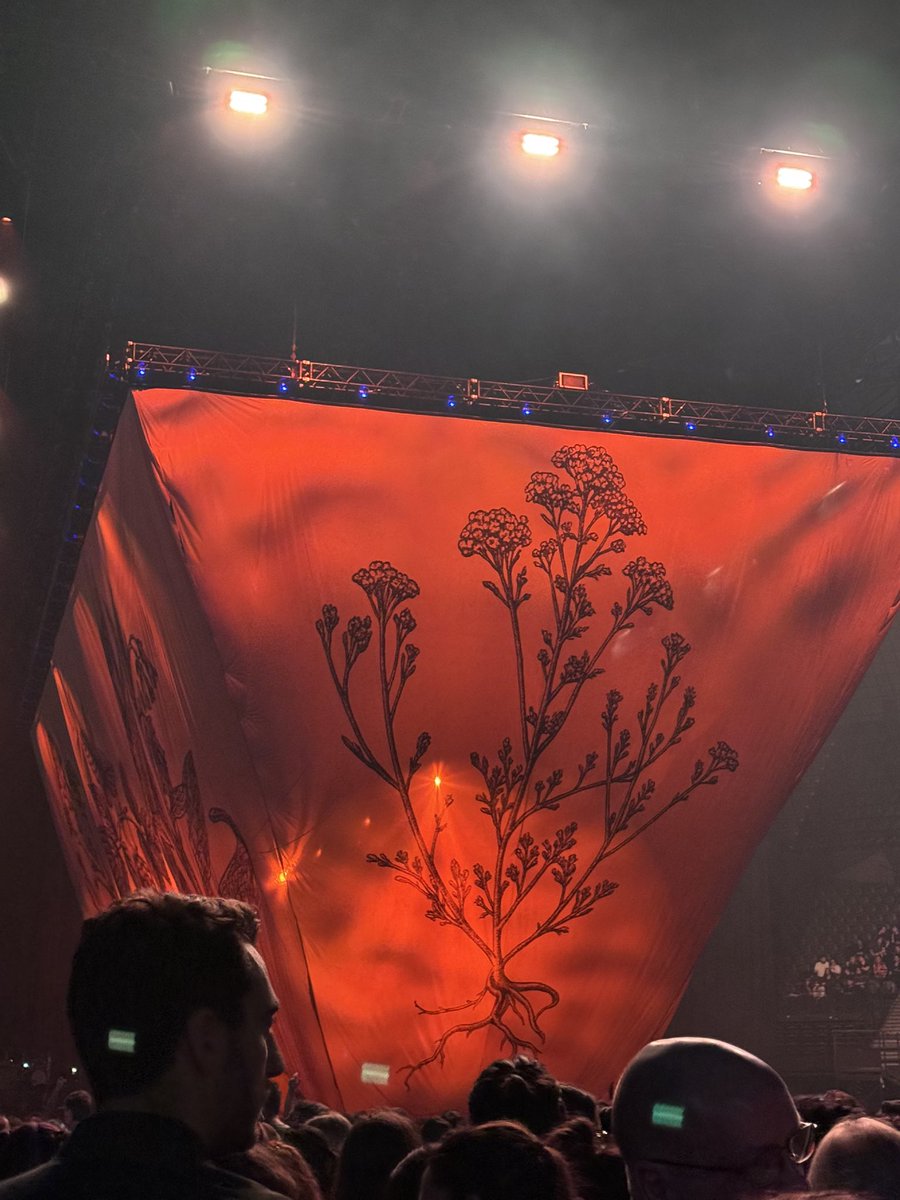 glistaen's tweet photo. that was crazy, thank you forever for blessing my eyes and ears florence welch 🥀 https://t.co/Upco2hpf8k