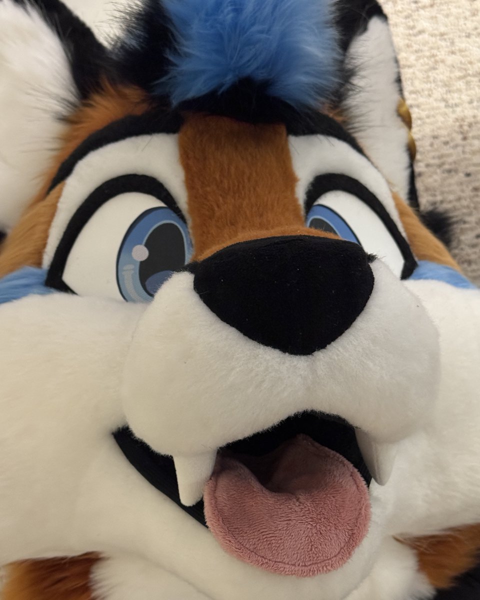 Ari 🦊 🔜 FWA (@FoxNamedAri) / Posts / X