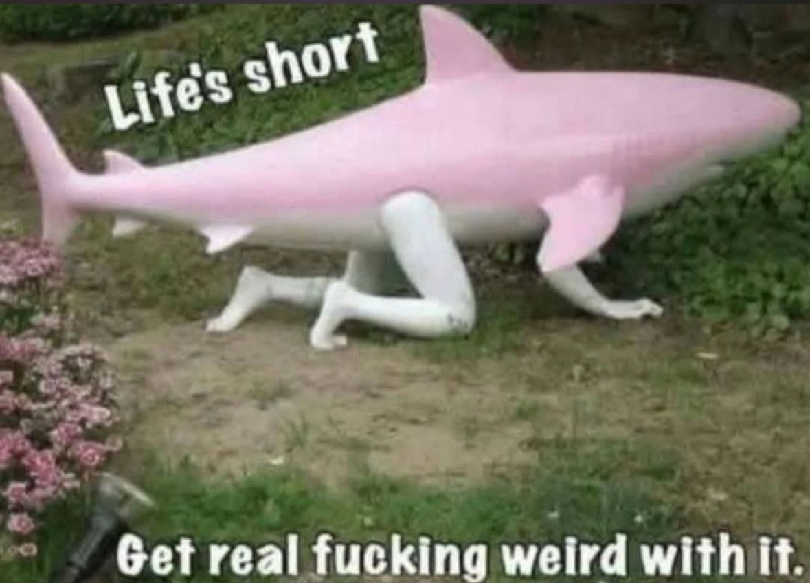 ADHD Memes (@adhdforreal) on Twitter photo 