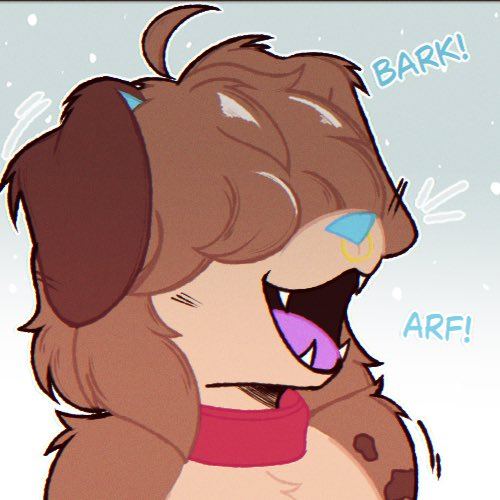 「🆁🅰🅲🅺🆉」 tweet media