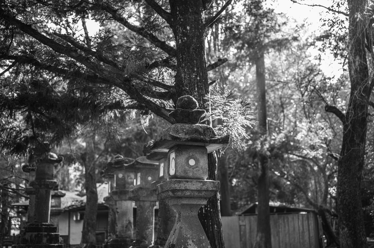 みかづき (@mic_azuki) / Posts / X