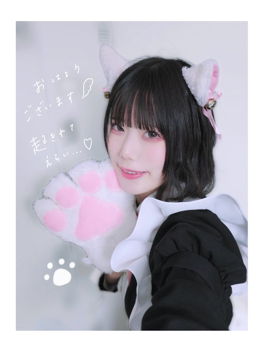 おはようございます໒꒱· ﾟ 2026.2.23 月曜日 にゃんこの余韻をお届け