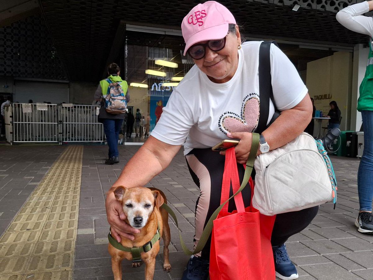 FicoGutierrez's tweet photo. Gracias, Medellín❤️🐶😸. 
Hoy 50 animalitos encontraron familia: 22 perros y 28 gatos.

Muchos eran perritos viejitos que llevaban años esperando un hogar. Aún tenemos más de 300, entre 5 y 15 años, soñando con esa oportunidad.

Puedes conocerlos en 👉 https://t.co/7OZYrUwQxt https://t.co/ubYmkBLhhn