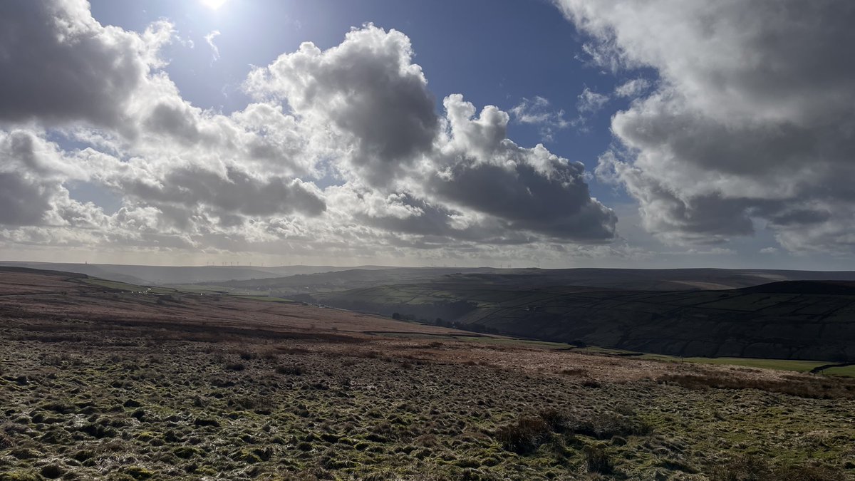 Johnny T 🏴󠁧󠁢󠁷󠁬󠁳󠁿 tweet media