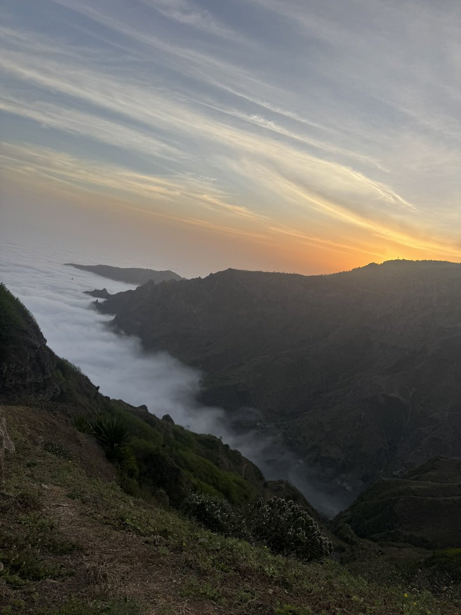 Parque Natura da Serra da Malagueta, ilha de Santiago (Cabo Verde 🇨🇻). De origem vulcânica, tem enorme potencial em termos de espécies de vegetais, alberga mais de uma centena de plantas endémicas e medicinais, quase uma vintena de aves. É o pulmão da ilha de Santiago