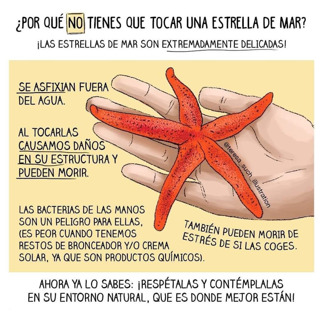 Entre la multitud 🍃 tweet media