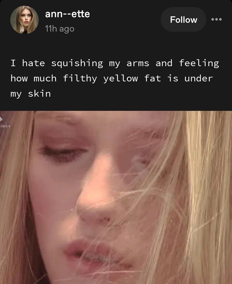 tumblrspo tweet media