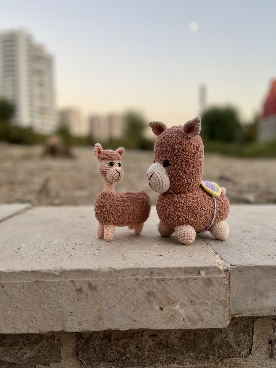 🦄 (همون که خر میبافه)Narin tweet media