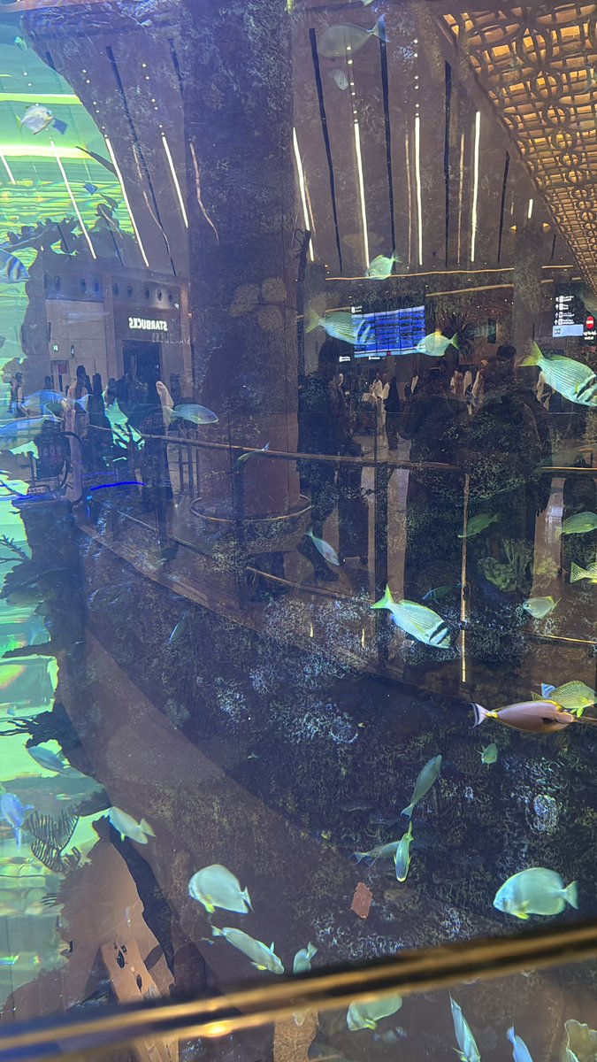 عذب_الصفات tweet media