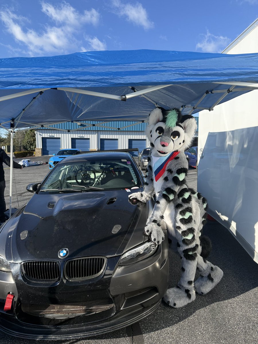 SpeedySnep tweet media