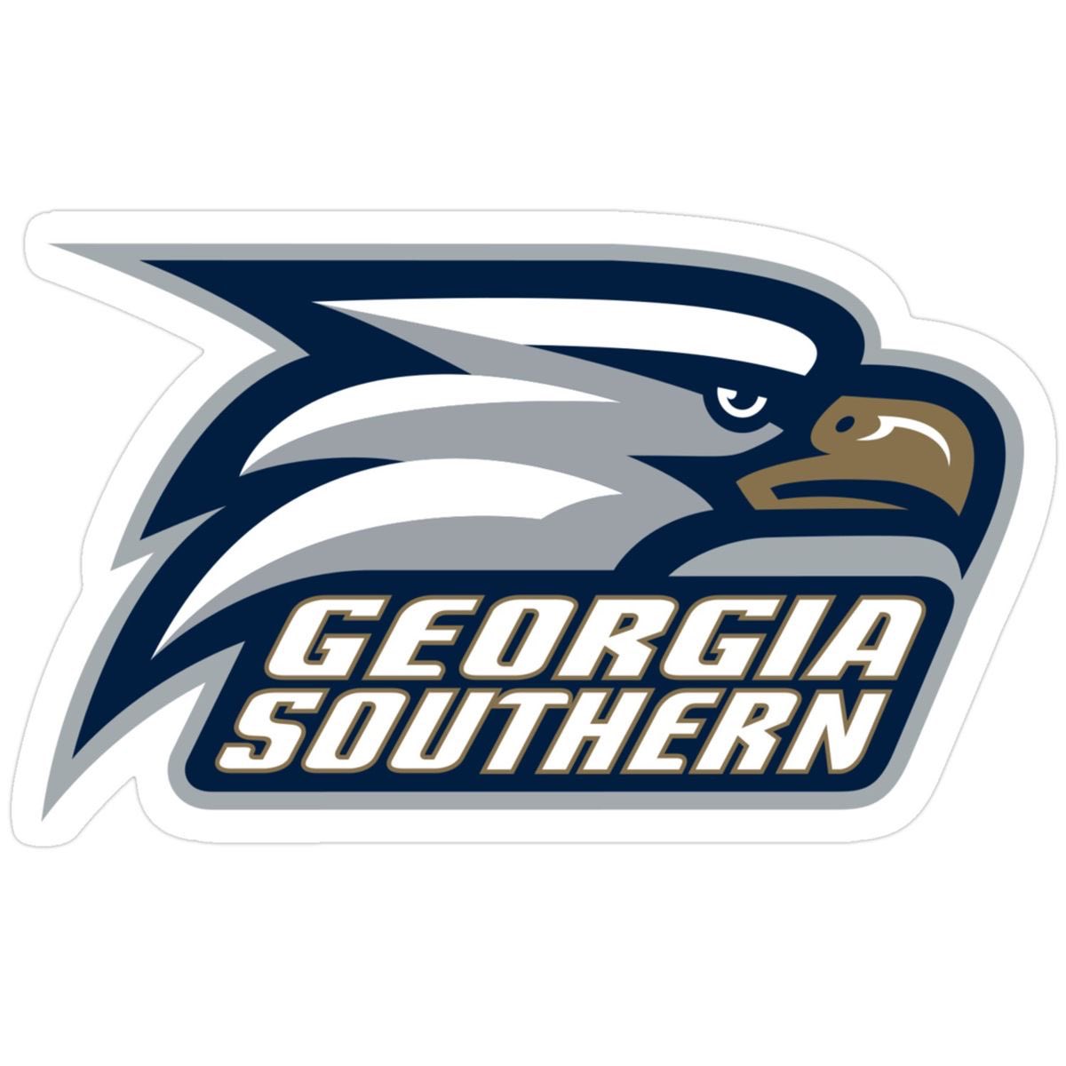 PeytonFrom803's tweet photo. #AGTG GEORGIA SOUTHERN OFFERED https://t.co/lIOKsbUzoF
