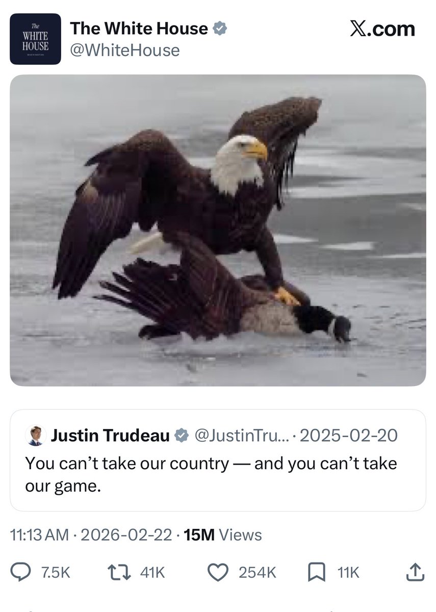 Rob Leone tweet media