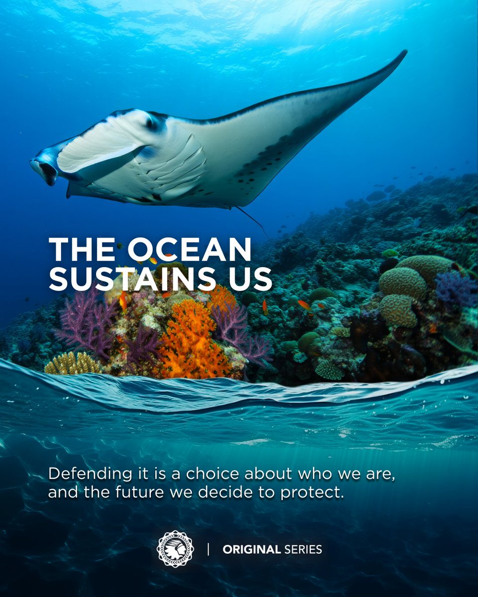 Sachamamaorg's tweet photo. 🌊 The ocean isn’t just a view, it’s a living system that sustains us.

🧵👉 https://t.co/cXljHqllAe
