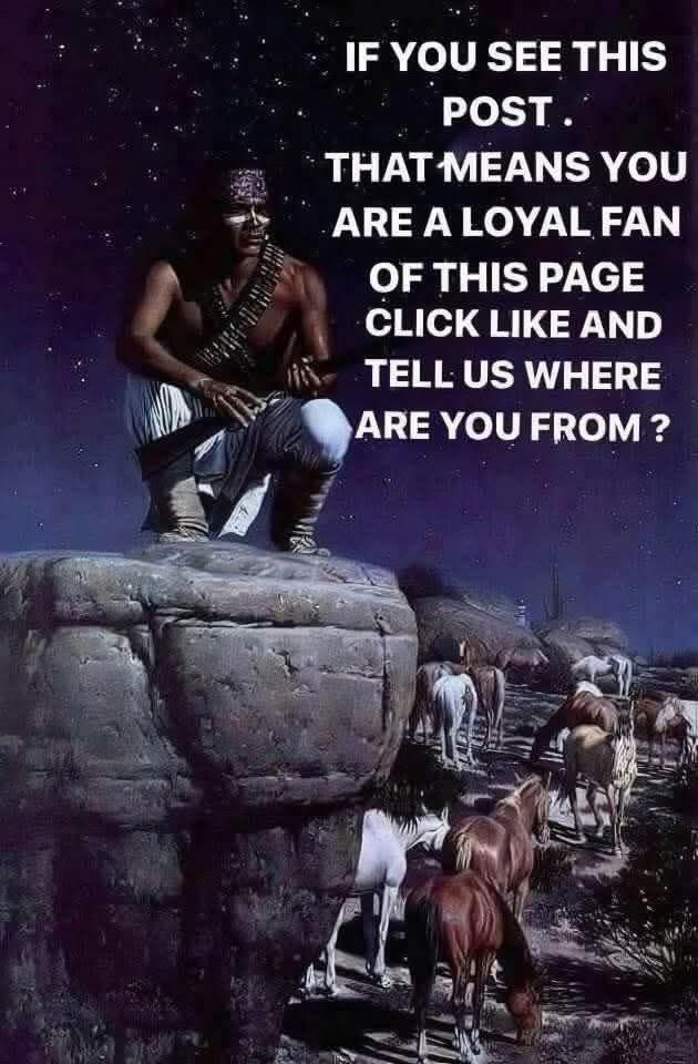 Native American tweet media