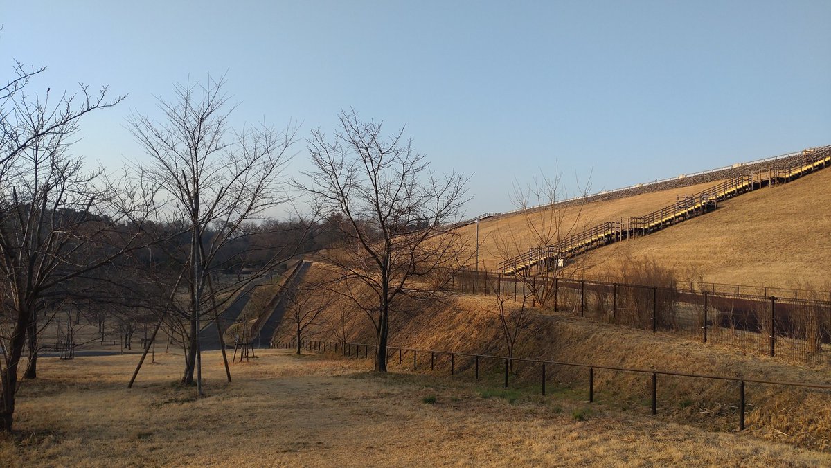 多摩湖まわり。
ジョギングやのんびりするのに良い場所だな♪